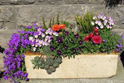 Flower-Box-Flowers-Garden-Container-Plant-Planters-1391954.jpg